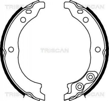 Гальмівні колодки ручного гальма TRISCAN 810010010 (фото 1)