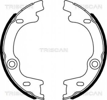 Гальмівні колодки ручного гальма TRISCAN 810018010 (фото 1)