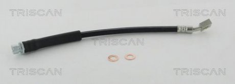 Патрубок TRISCAN 8150 17300 (фото 1)