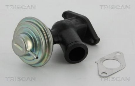 Клапан рецеркуляції відпрацьованих газів TRISCAN 8813 10011 (фото 1)