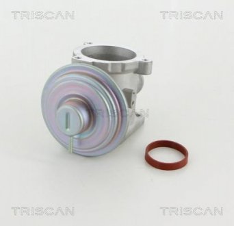 Клапан рецеркуляції відпрацьованих газів TRISCAN 8813 11003 (фото 1)