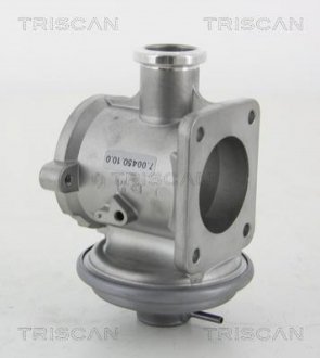 Клапан рецеркуляції відпрацьованих газів TRISCAN 8813 11105 (фото 1)