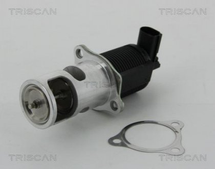 Клапан рецеркуляции отработавших газов TRISCAN 8813 25038 (фото 1)