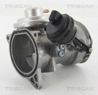 Клапан рецеркуляции отработавших газов TRISCAN 8813 29070 (фото 1)