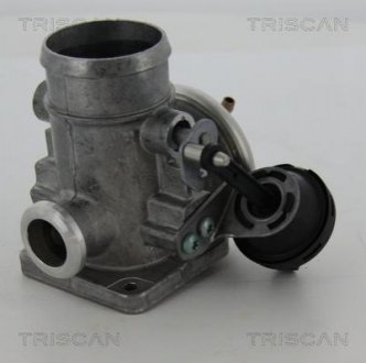 Клапан рецеркуляції відпрацьованих газів TRISCAN 8813 29300 (фото 1)
