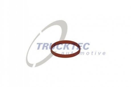 Прокладка TRUCKTEC 0810060 (фото 1)