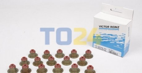 Комплект сальників клапанів VICTOR REINZ 12-38209-02 (фото 1)