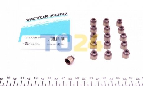 Комплект прокладок, стержень клапана VICTOR REINZ 12-53036-01 (фото 1)
