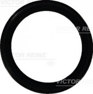 Кольцо уплотнительное VICTOR REINZ 40-76473-00 (фото 1)