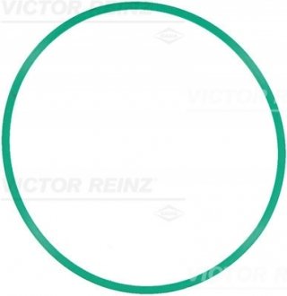 Прокладка впускного коллектора VICTOR REINZ 71-12508-00 (фото 1)