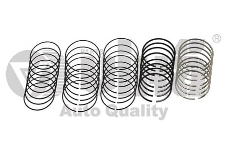 Комплект поршневих кілець 2,4L/3,0L 81 мм (на 6 поршнів)) Audi A4 (01-04),A6 (97-05) (11981631901) vika