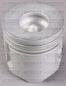 Поршень Ford Transit 2.5TD 91-94 (93.64mm/STD) 3103420000