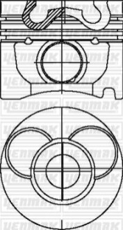 Поршень MB Sprinter OM602 (89.00mm/STD) (Палець 28x70) 3103609000