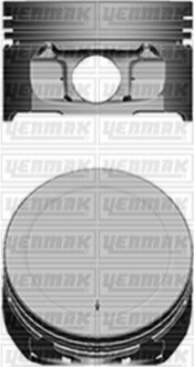 YENMAK Поршень с кольцами і пальцем (размер отв. 78.5 / STD) Berlingo 1.6 (4цл.)  (TU5JP4, NFU, NFX Euro 3) 31-04101-000