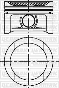 Поршень VW Passat/Golf 1.6 95-04 (81.01mm/STD) 3104307000