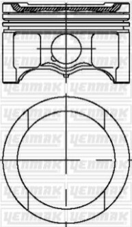 Поршень Audi A3/A4/VW Passat 1.6 96-10 (81.01mm/STD) 3104316000