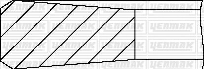 Кільця поршневі BMW 3 2.0 (M47)/3.0(M57) (84.0mm/STD) (3-2-2) 91-09629-000